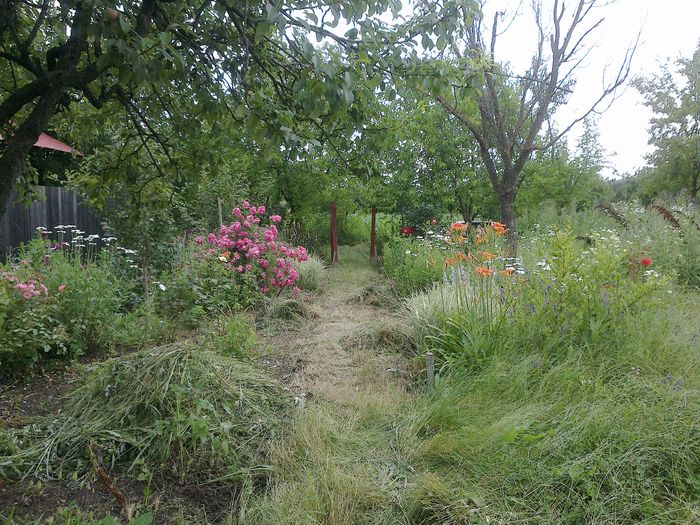 140620142013 - 0-Anul 2014