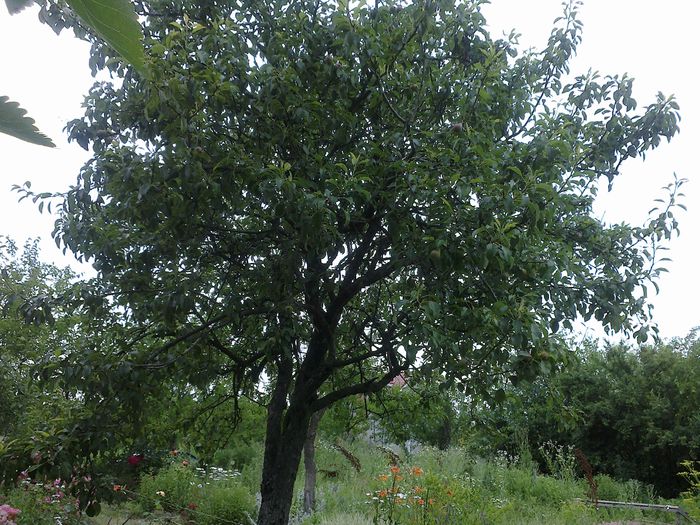 140620142015 - 0-Anul 2014