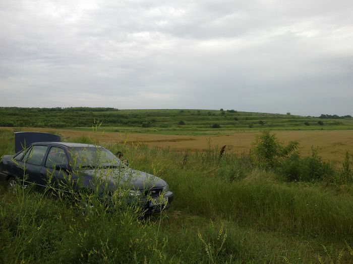 140620142019 - 0-Anul 2014