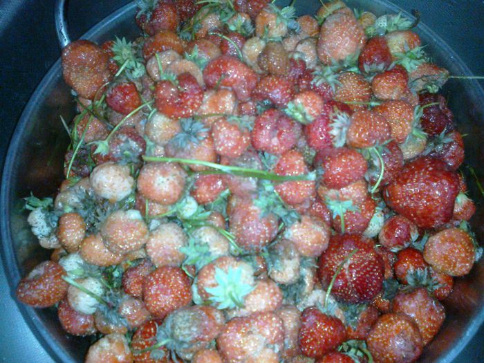 140620142039 - 0-Anul 2014