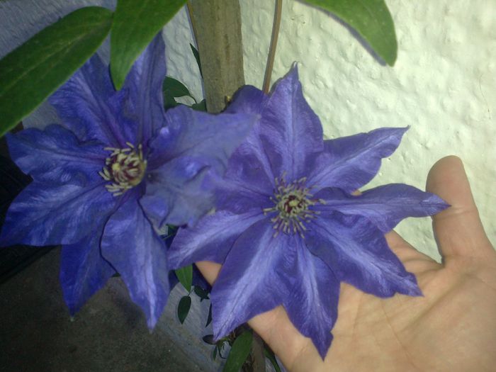 220520141419 - 0-Anul 2014