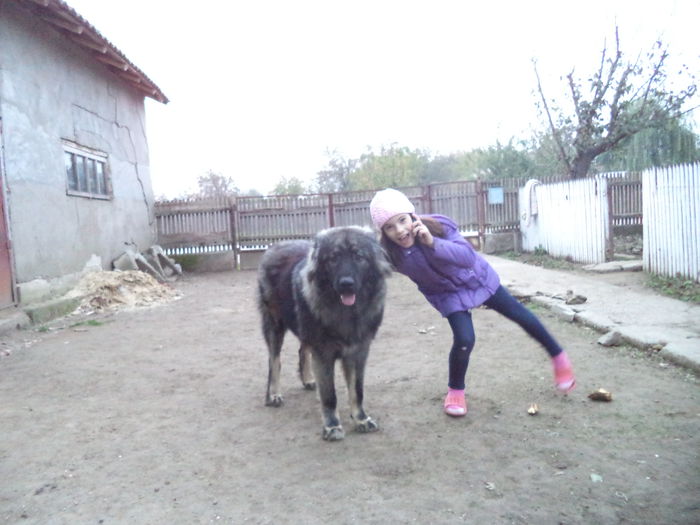 DSC02146 - Cateii mei dragi