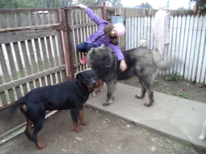 DSC02225 - Cateii mei dragi