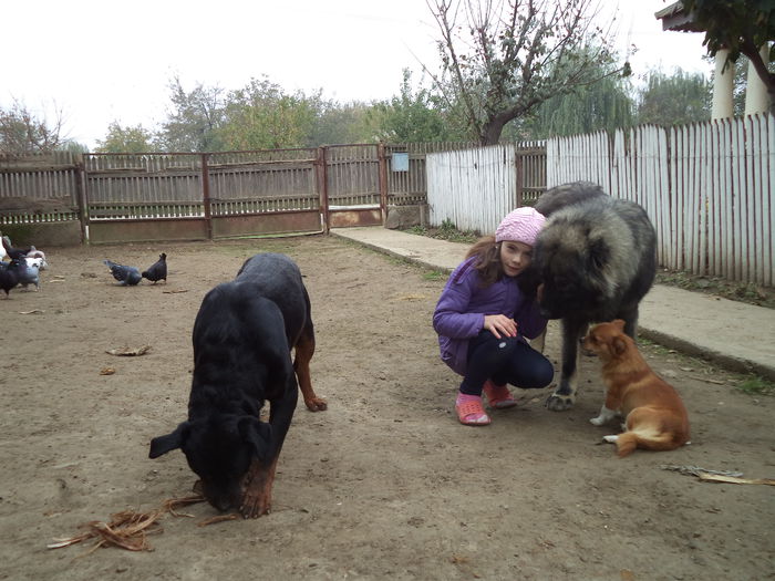 DSC02326 - Cateii mei dragi