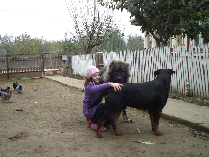 DSC02331 - Cateii mei dragi