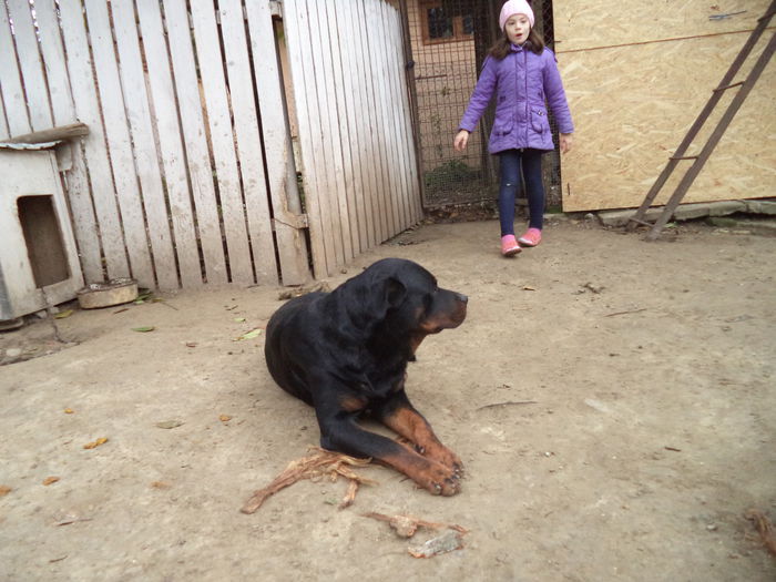 DSC02398 - Cateii mei dragi