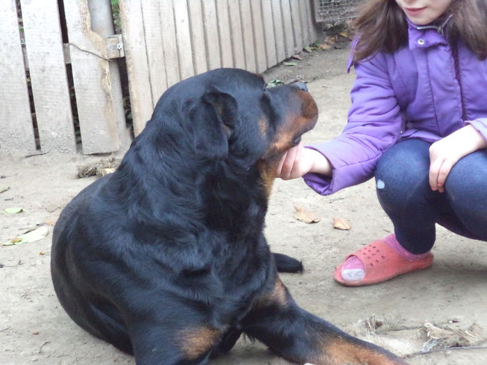 DSC02410 - Cateii mei dragi