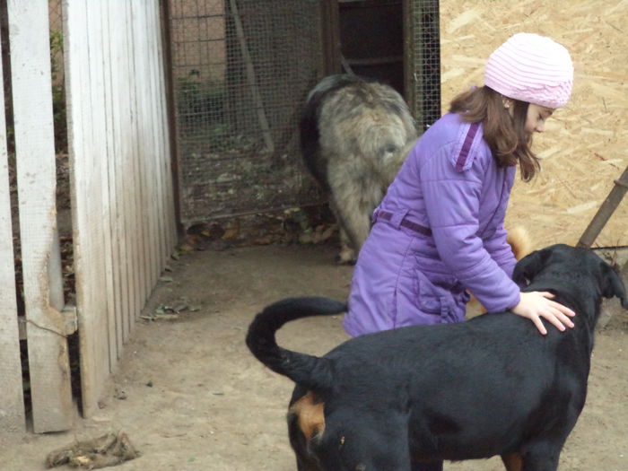 DSC02420 - Cateii mei dragi