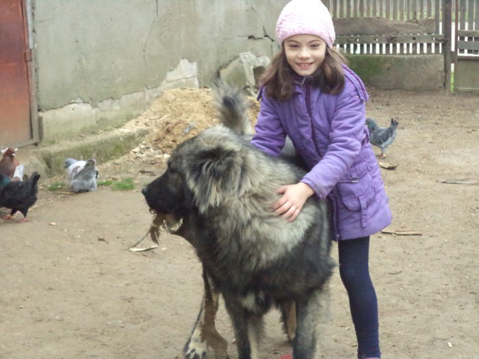 DSC02436 - Cateii mei dragi