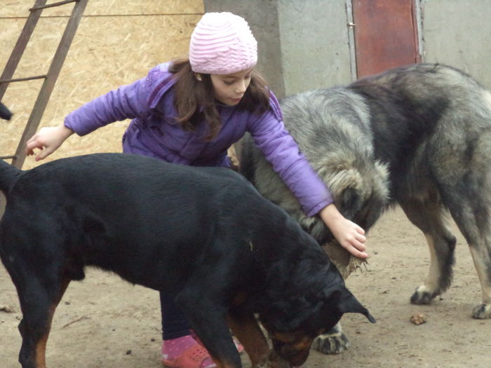 DSC02493 - Cateii mei dragi