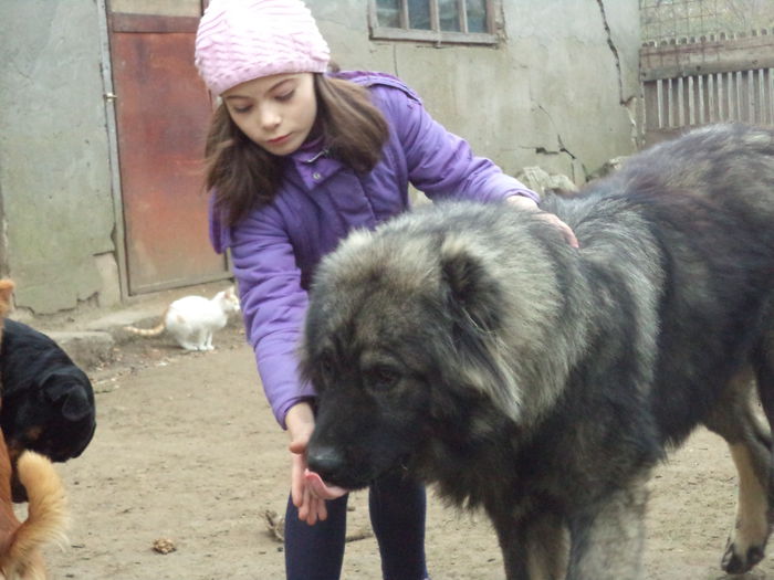 DSC02507 - Cateii mei dragi