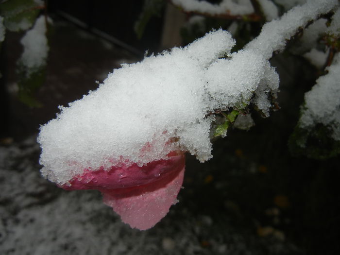 1025 2014, October 2542