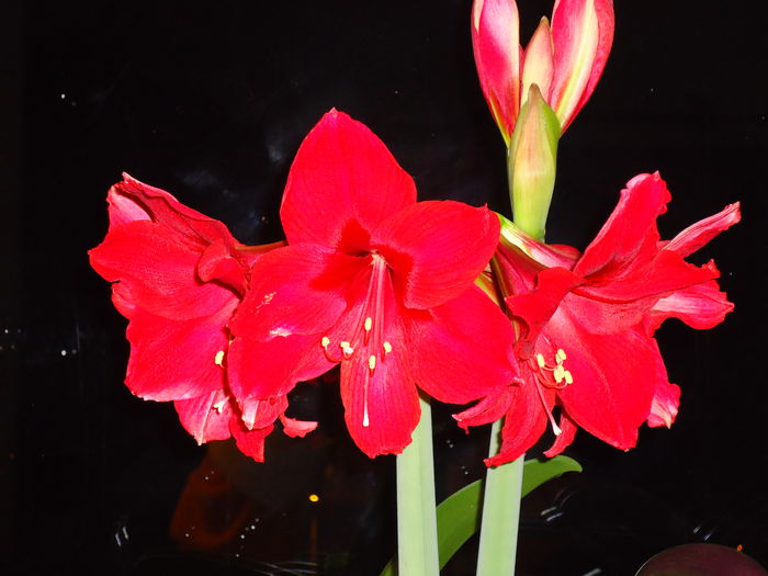 DSC02152