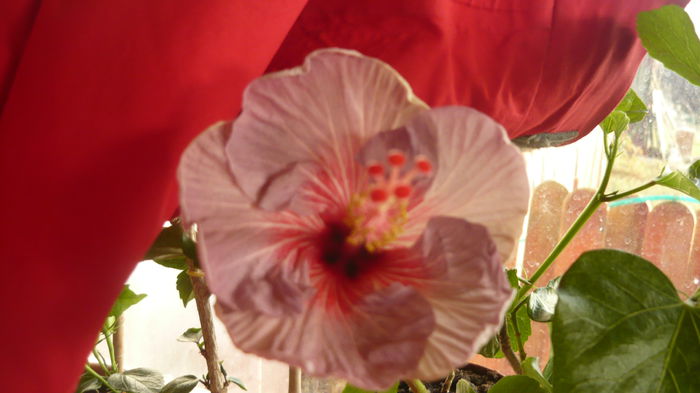 075