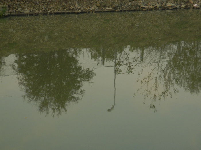 DSCN2495 - SANTIER IN LUCRU