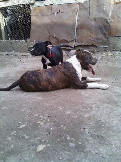 10749409_1522082964705358_745697824_n