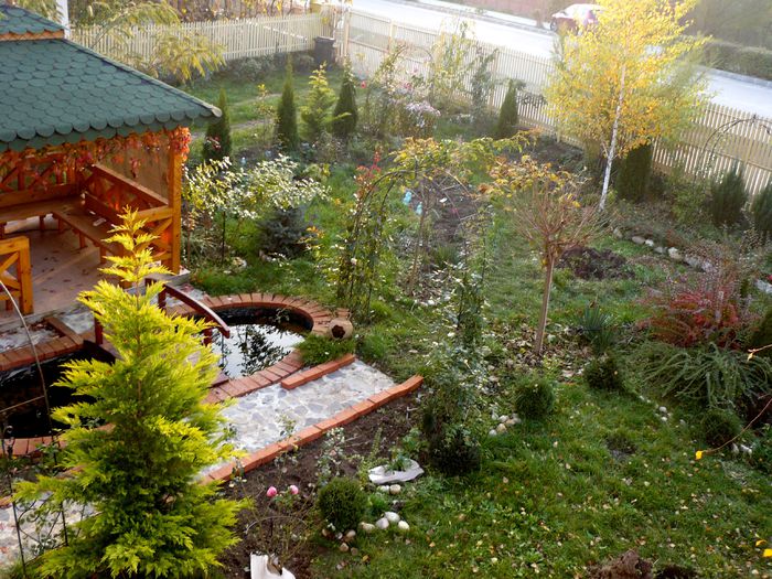 A venit, a venit toamna...