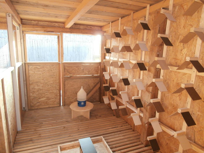 PB030015 - B-Demolarea si Constructia Noii Crescatorii Pentru Tineret