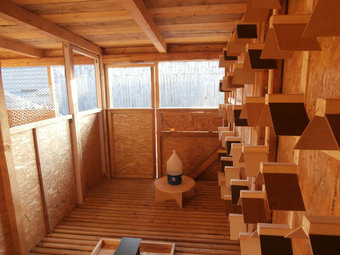 PB030016 - B-Demolarea si Constructia Noii Crescatorii Pentru Tineret