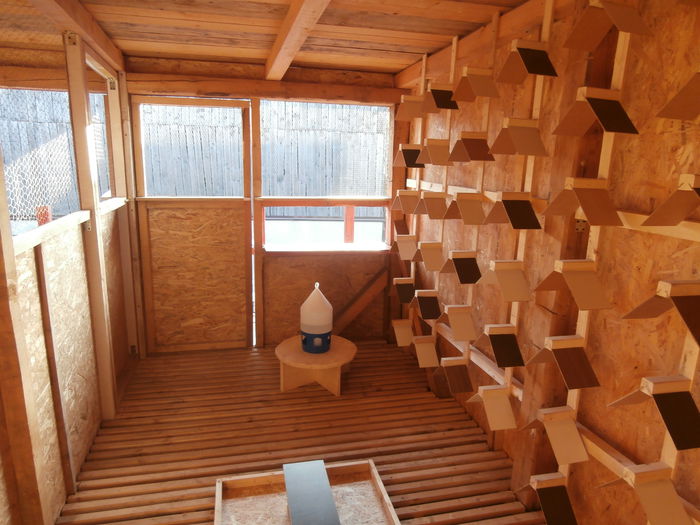 177874 vizite - B-Demolarea si Constructia Noii Crescatorii Pentru Tineret