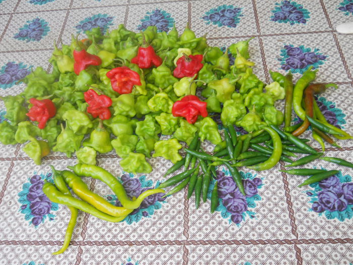 ARDEI-CIUȘCĂ PENTRU MURAT