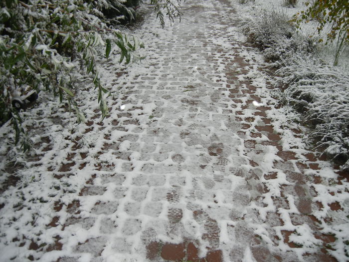 Early Winter (2014, October 25) Early Winter (2014, October 25)