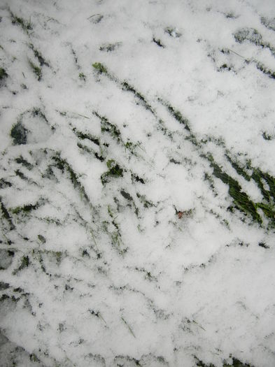 Early Winter (2014, October 25) Early Winter (2014, October 25)