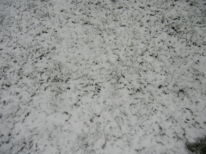 Early Winter (2014, October 25) Early Winter (2014, October 25)