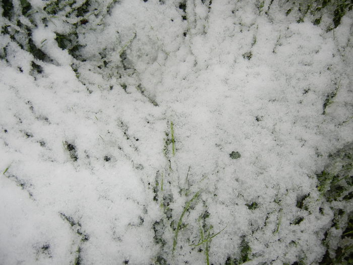 Early Winter (2014, October 25) Early Winter (2014, October 25)