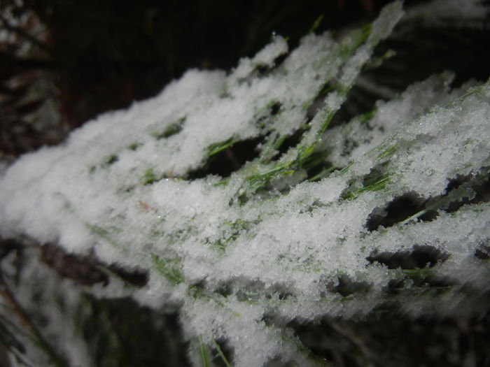 Early Winter (2014, October 25) Early Winter (2014, October 25)