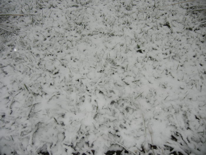 Early Winter (2014, October 25) Early Winter (2014, October 25)