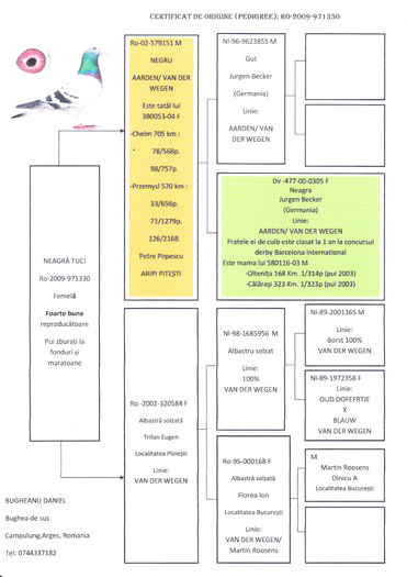 75%VAN DER WEGEN, 25% AARDEN