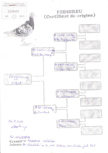 F 50%BROCKAMP x 50%CARTEUS (1)