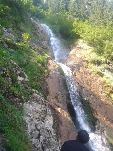 10599149_751849614875807_4508170887926703815_n