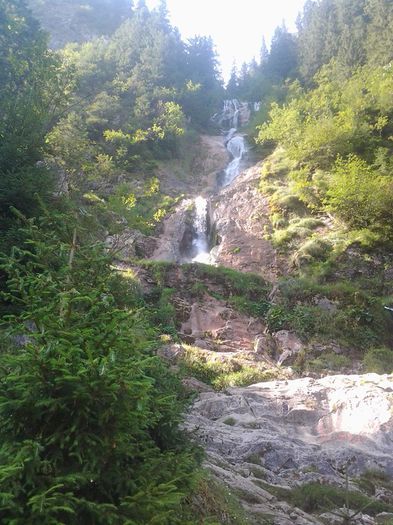 996149_751850378209064_517213189506074585_n - Cascada Cailor - Muntii Rodnei 11-08-2014