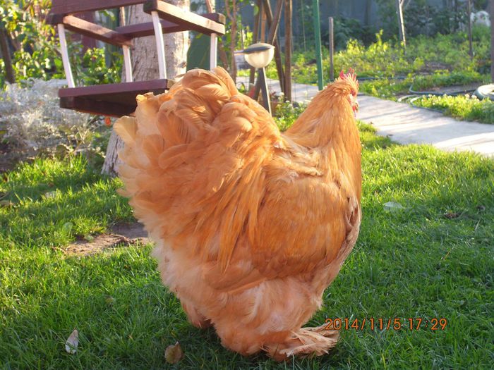 10468423_1560533434180456_2873789167399815756_o