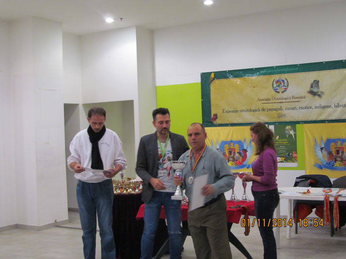 IMG_0974 - EXPO CANARII BUCURESTI 2014