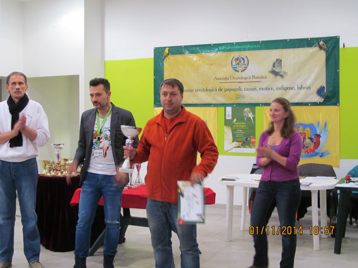 IMG_0981 - EXPO CANARII BUCURESTI 2014