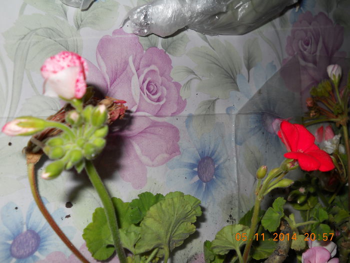 002 - ACHIZITII 2014