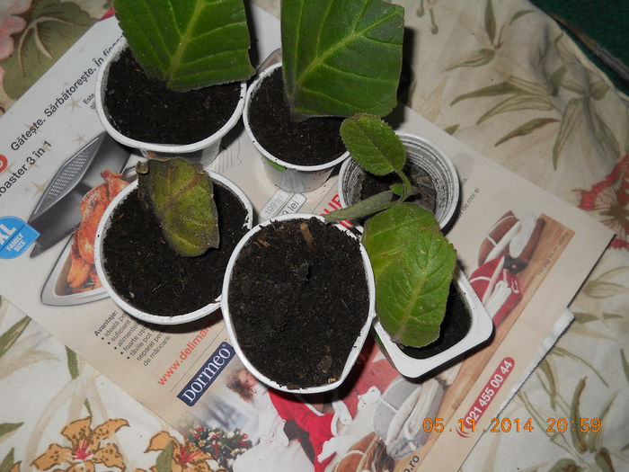 014 - ACHIZITII 2014