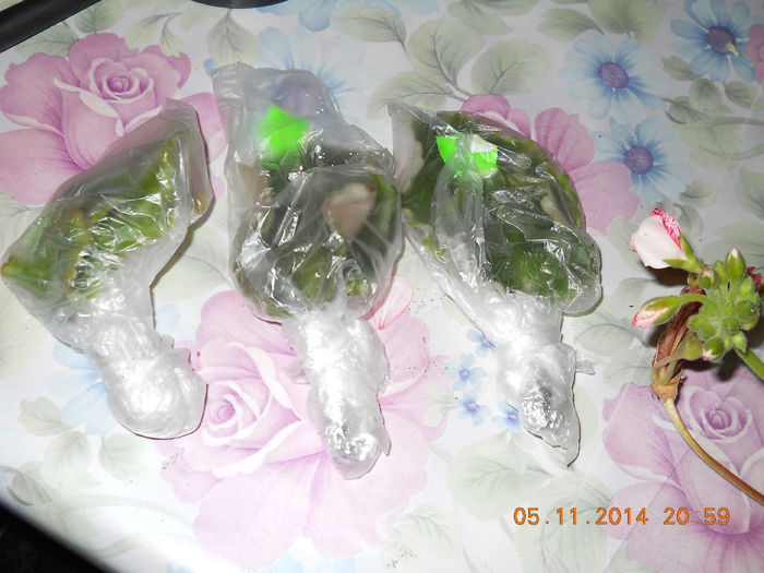 016 - ACHIZITII 2014