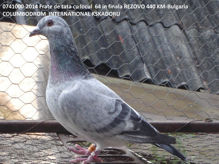 cuc 0741000-2014 150 lei