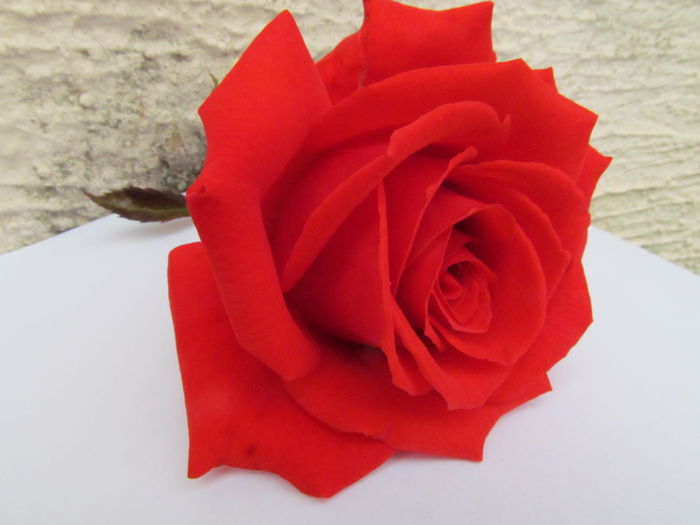  - Diverse 3 - Diverse