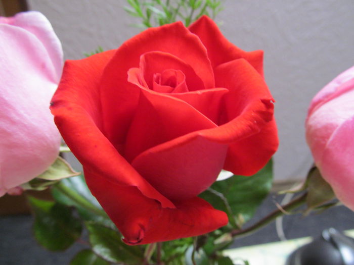  - Diverse 3 - Diverse