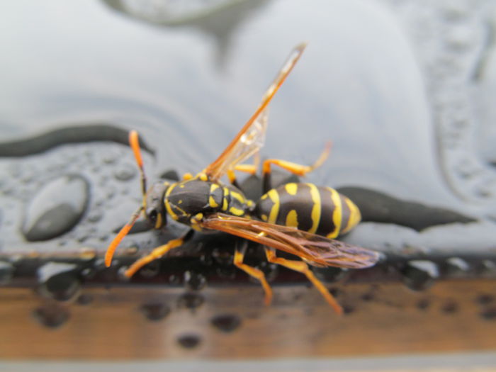  - Diverse 3 - Diverse