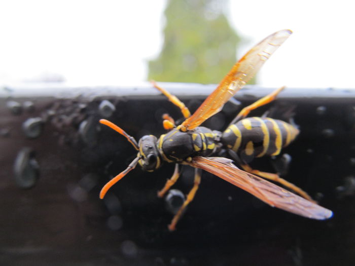  - Diverse 3 - Diverse