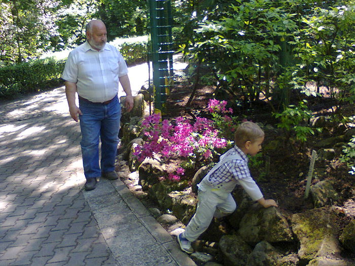 Fotografie0197 - In vizita la Gradina botanica vara 2013