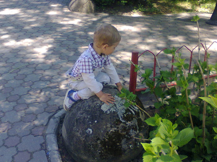Fotografie0200 - In vizita la Gradina botanica vara 2013