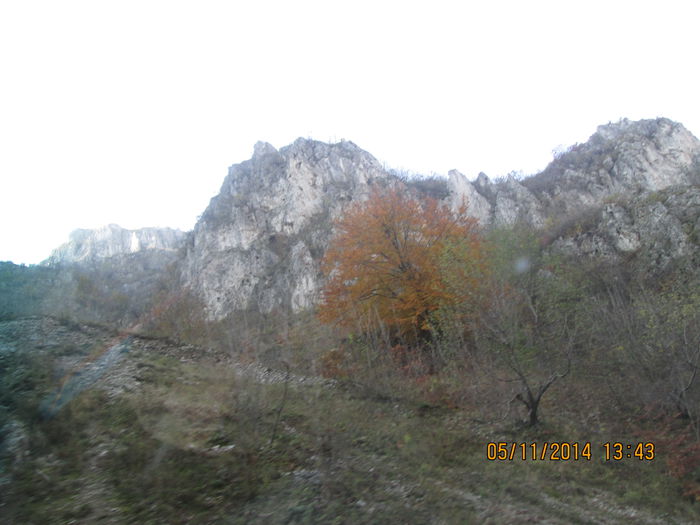 IMG_9224 - O zi de noiembrie pe Cheile Sohodolului