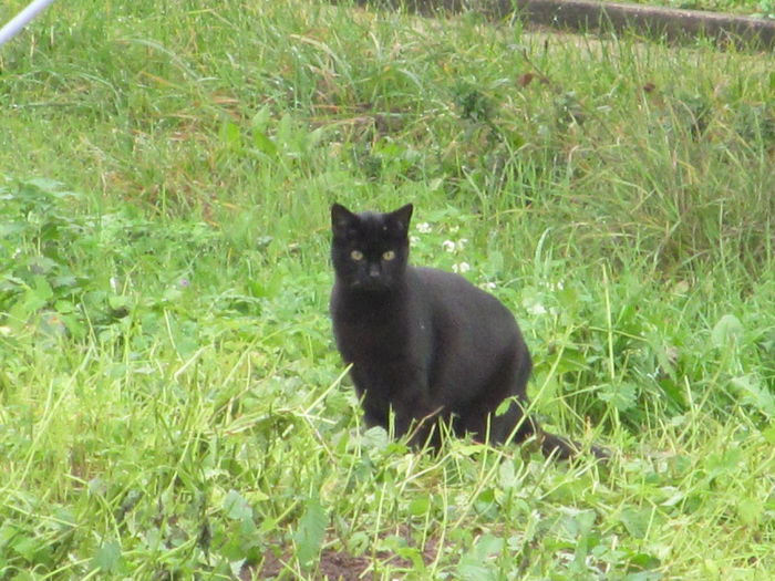  - Diverse 3 - Diverse